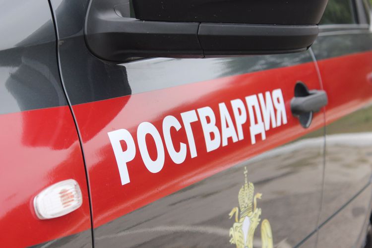 В автограде наряд ОВО Росгвардии задержал "по горячим следам" подозреваемого в попытке уличного грабежа