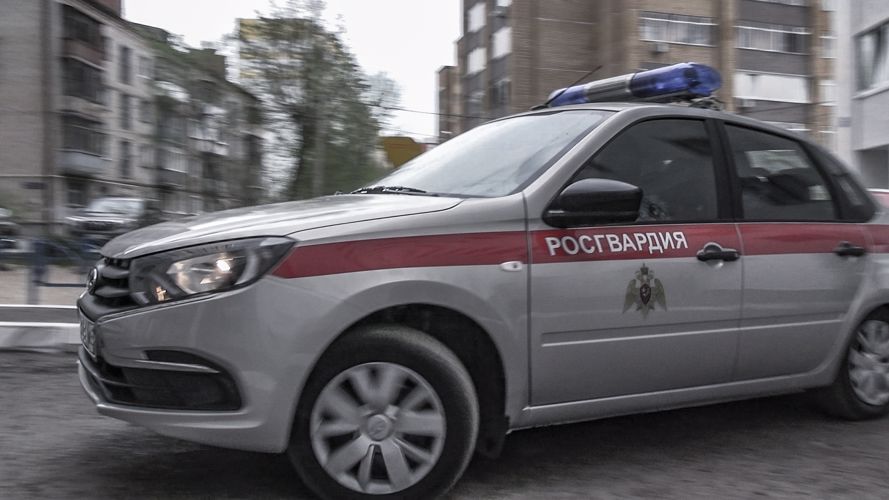 В Татарстане сотрудники Росгвардии задержали троих подозреваемых в кражах из сетевых гипермаркетов