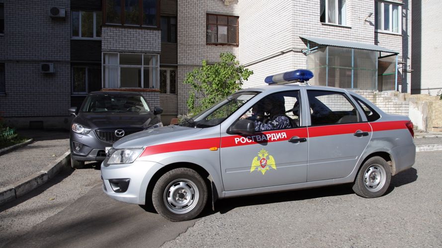В г. Елабуге сотрудники вневедомственной охраны Росгвардии задержали уроженку Башкирии, подозреваемую в мошенничестве 