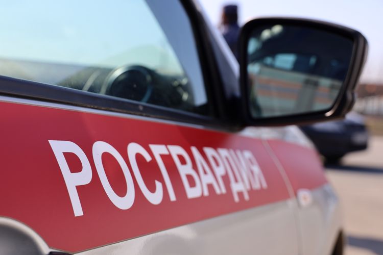 В Набережных Челнах наряд вневедомственной охраны Росгвардии задержал семейную пару, подозреваемую в краже из гипермаркета 