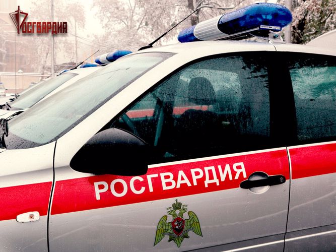 В Набережных Челнах задержали подозреваемую в краже товара из магазина