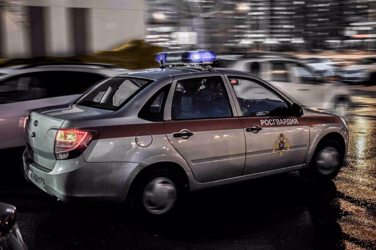 В Чистопольском районе Татарстана росгвардейцы задержали судимую женщину, подозреваемую в ножевом ранении сожителя 