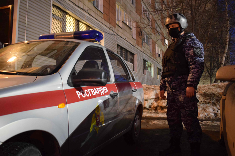 В Алексеевском районе Татарстана сотрудники Росгвардии задержали мужчину, подозреваемого в угрозе убийством сожительницы