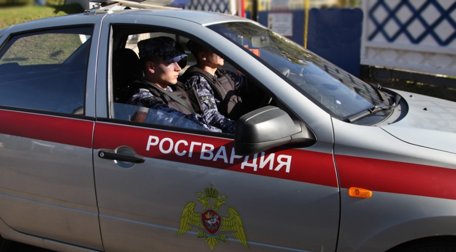 В Мамадышском районе Татарстана сотрудники Росгвардии по срабатыванию сигнализации задержали подозреваемую в краже