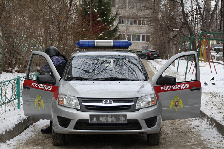 В Набережных Челнах росгвардейцы задержали подозреваемого в краже из строительного гипермаркета