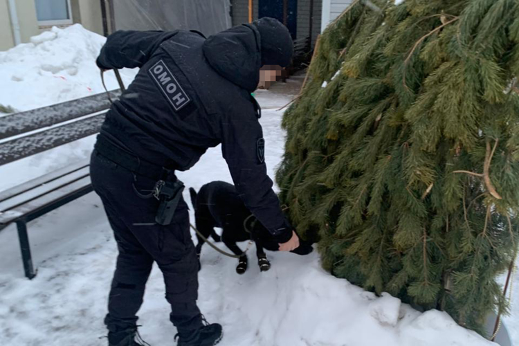 Росгвардия приняла участие в обеспечении правопорядка во время празднования Рождества Христова в Татарстане 