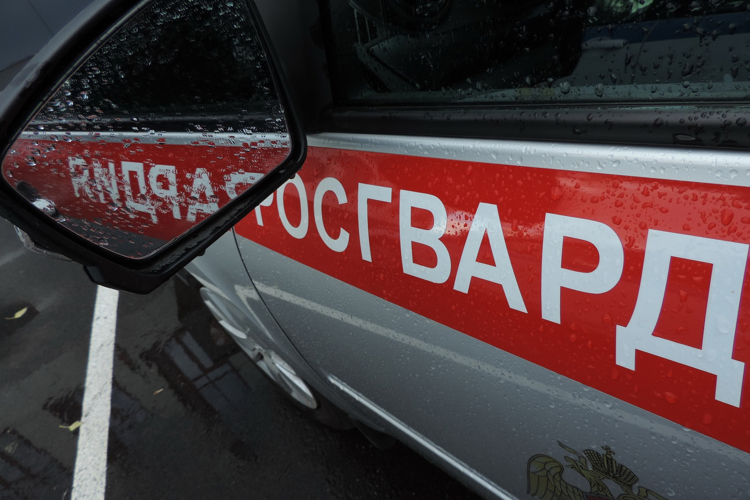 В Казани сотрудники Росгвардии задержали троих мужчин, подозреваемых в кражах из торговых центров