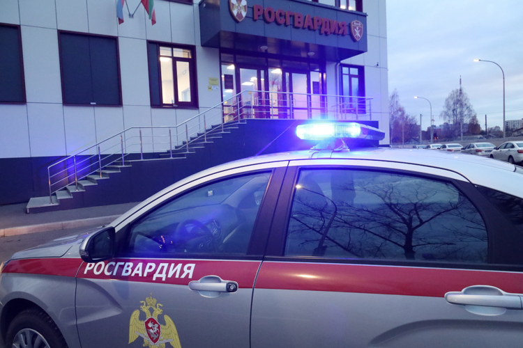 В Набережных Челнах росгвардейцы задержали мужчину, подозреваемого в краже 