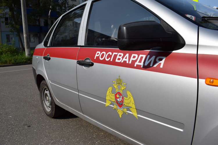 В Зеленодольске наряд Росгвардии задержал подозреваемого в грабеже товара из магазина 