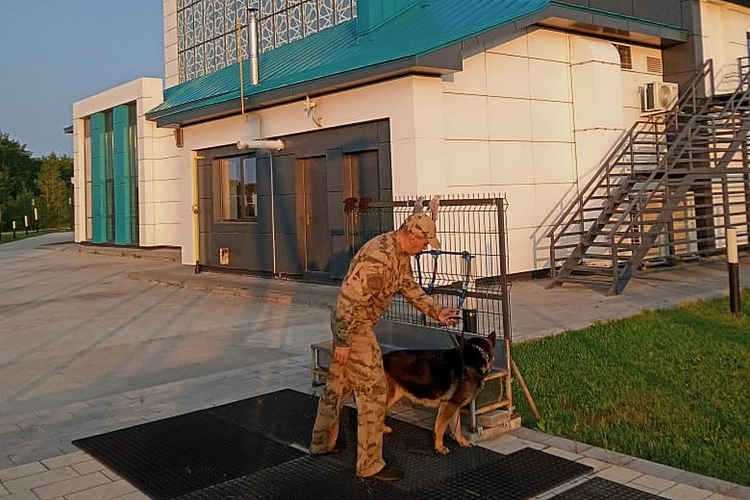 Росгвардейцы выполнили задачу по охране общественного порядка во время празднования Курбан-байрама в Татарстане