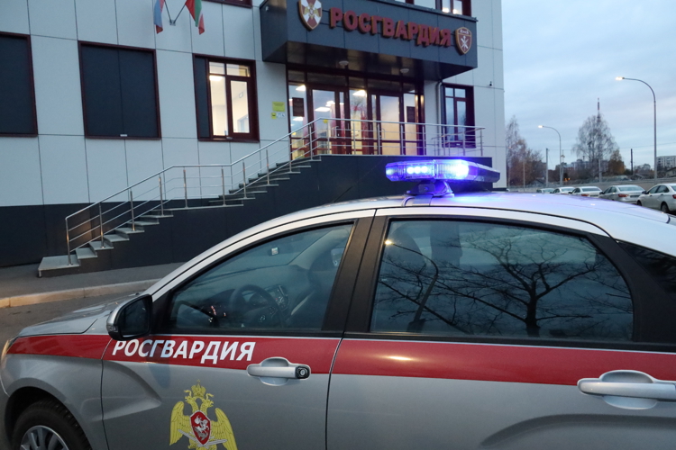 В Казани росгвардейцы задержали подозреваемую в краже 