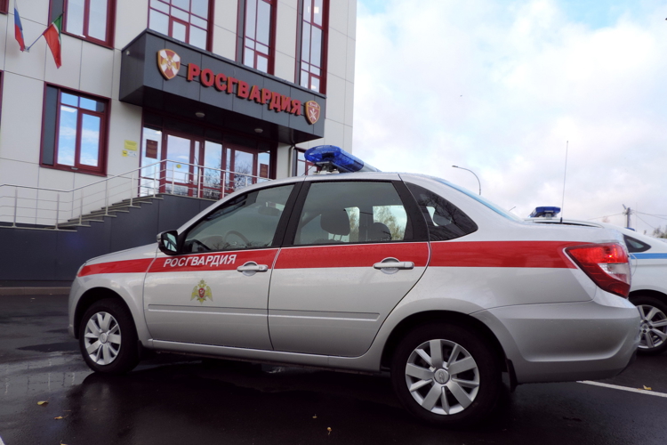 В Казани наряд вневедомственной охраны Росгвардии задержал подозреваемого в краже из строительного гипермаркета 