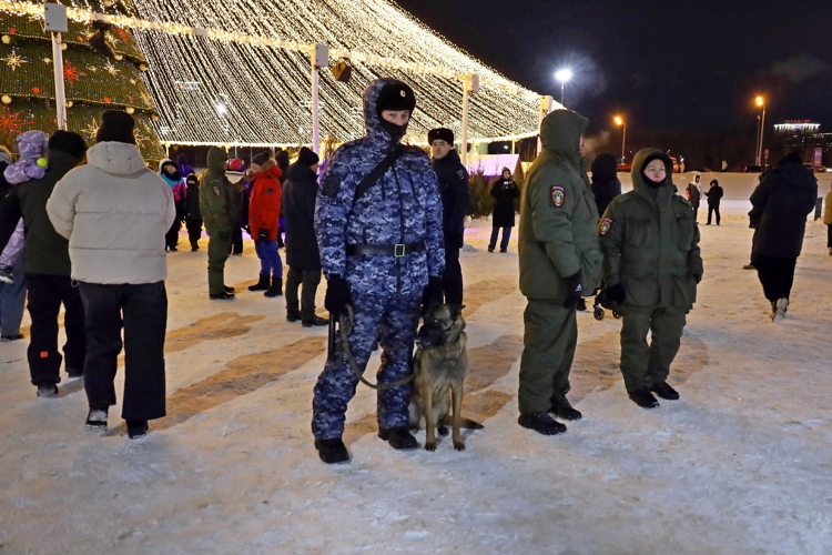 В Казани Росгвардия выполнила задачи по обеспечению безопасности на открытии главной городской ёлки