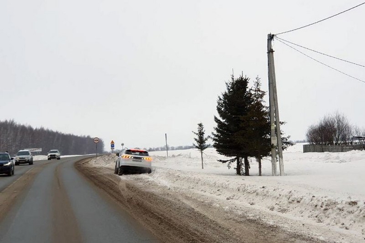В Татарстане Росгвардейцы пришли на помощь водителю, застрявшему на обочине