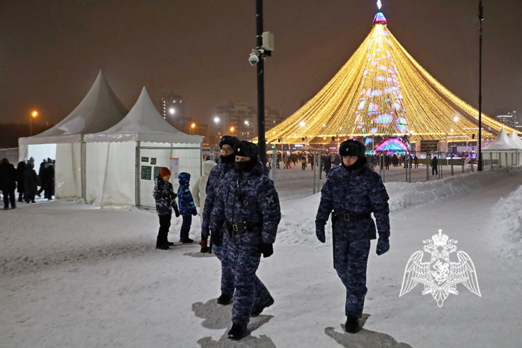 В Татарстане Росгвардия выполнила задачи по охране общественного порядка в новогоднюю ночь