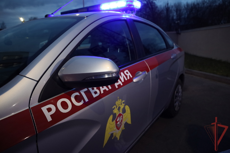 В Елабуге наряд вневедомственной охраны Росгвардии задержал подозреваемого в грабеже из магазина