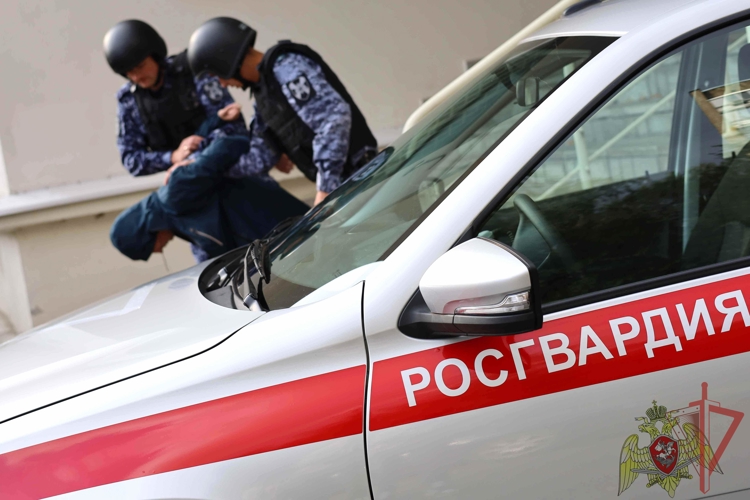 В Нижнекамске сотрудники Росгвардии задержали ранее судимого подозреваемого в грабеже из супермаркета 