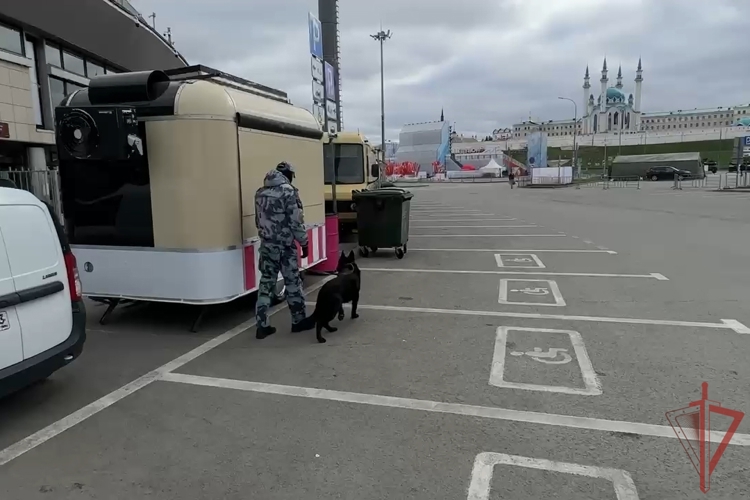 В Татарстане росгвардейцы выполнили задачи по обеспечению безопасности празднования Дня Победы