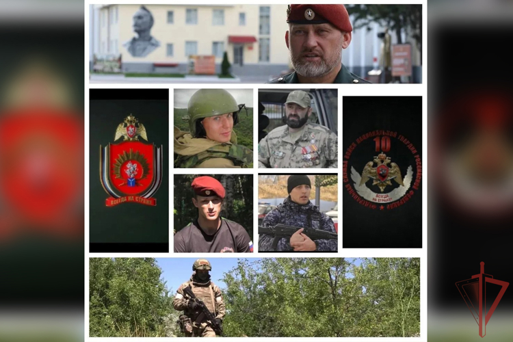 Ко Дню России Росгвардия и оргкомитет Международного фестиваля медийного творчества «Братина» проводят показ документальных  фильмов о героях СВО
