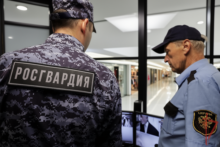 В Набережных Челнах росгвардейцы задержали неоднократно судимого мужчину по подозрению в краже из сетевого гипермаркета